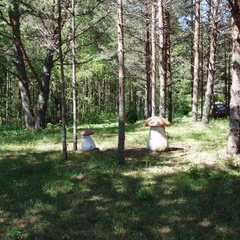 Клуб Кравотынь, Осташковский район, Тверская область