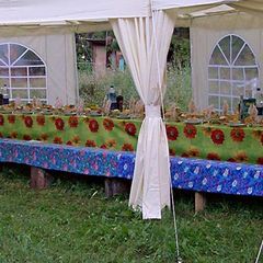 База отдыха Рябинушка, Сарапульский район, Республика Удмуртия