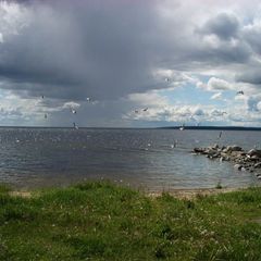 Загородный клуб Малая Медвежка, Медвежьегорский район, Республика Карелия