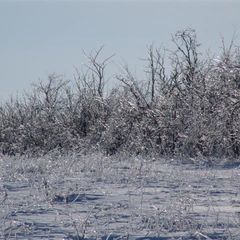 Рыболовная база Нью-Васюки, Неклиновский район, Ростовская область