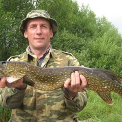 Гостевой дом У старой часовни, Медвежьегорский район, Республика Карелия