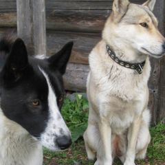 Гостевой дом У старой часовни, Медвежьегорский район, Республика Карелия