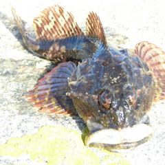 Турбаза Энгозеро, Лоухский район, Республика Карелия