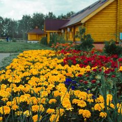 Туристический комплекс Заимка, Чебоксарский район, Республика Чувашия
