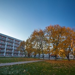 Санаторий Красный бор, Смоленск, Смоленская область