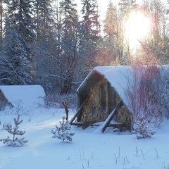 База отдыха Мишкина сказка, Лахденпохский район, Республика Карелия