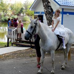 Загородный комплекс Алые паруса, Ставропольский район, Самарская область