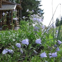 Загородный отель Вершина Селигера, Осташковский район, Тверская область