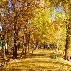 Загородный комплекс Алые паруса, Ставропольский район, Самарская область
