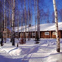 База отдыха Кедр, Лысковский район, Нижегородская область
