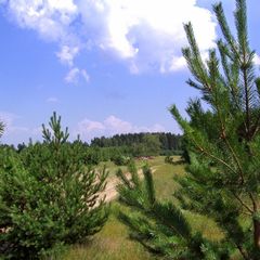 База отдыха Кедр, Лысковский район, Нижегородская область
