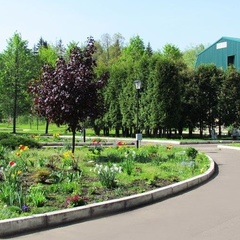 Спортивно-оздоровительный комплекс Лесная поляна, Истринский район, Московская область