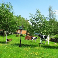 Спортивно-оздоровительный комплекс Лесная поляна, Истринский район, Московская область