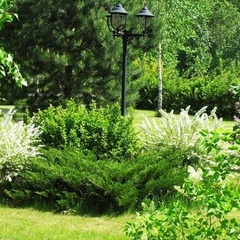 Спортивно-оздоровительный комплекс Лесная поляна, Истринский район, Московская область