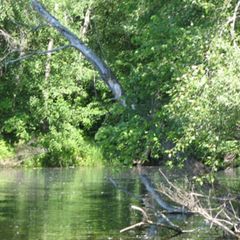 Рыболовно-охотничья база Удача, Приволжский район, Самарская область