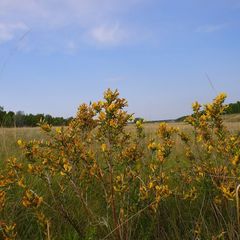 База отдыха Три озера, Большеглушицкий район, Самарская область