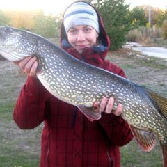 Рыболовно-охотничья база Удача, Приволжский район, Самарская область