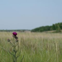 База отдыха Три озера, Большеглушицкий район, Самарская область