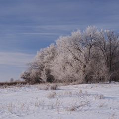 База отдыха Три озера, Большеглушицкий район, Самарская область