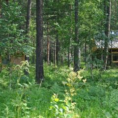Турбаза Кибик, Шушенский район, Красноярский край