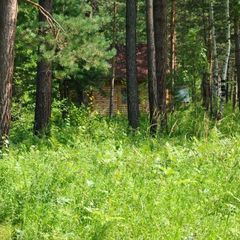 Турбаза Кибик, Шушенский район, Красноярский край