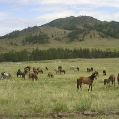 База отдыха Оленье озеро, Аскизский район, Республика Хакасия