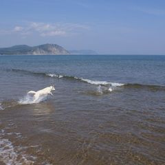 База отдыха Зеркальная, Кавалеровский район, Приморский край