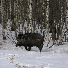 Туристическая база Уста, Краснобаковский район, Нижегородская область