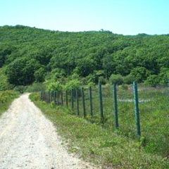 База отдыха Восток, Находка, Приморский край