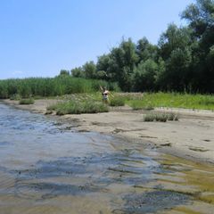 База отдыха Пятиизбянка, Киквидзенский район, Волгоградская область