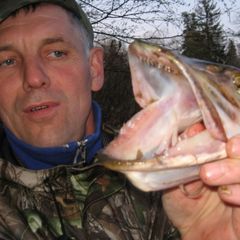 Туристическая база Уста, Краснобаковский район, Нижегородская область