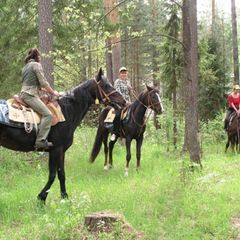 Туристическая база Уста, Краснобаковский район, Нижегородская область