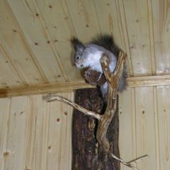 Туристическая база Уста, Краснобаковский район, Нижегородская область