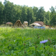 Туристическая база Золоторудная, Алтайский район, Алтайский край