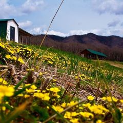 База отдыха Морской бриз, Партизанский район, Приморский край
