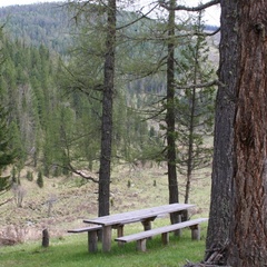 База отдыха Медвежья гора, Усть-Коксинский район, Республика Алтай
