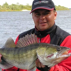 Рыболовная база Рыба Зверь, Серафимовичский район, Волгоградская область