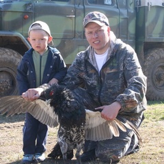 База отдыха Медвежья гора, Усть-Коксинский район, Республика Алтай