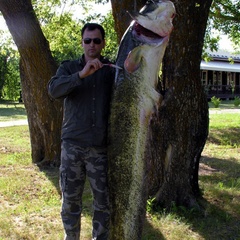 Рыболовная база Рыба Зверь, Серафимовичский район, Волгоградская область