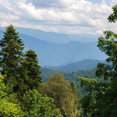 Загородный отель Абаго, Майкопский район, Республика Адыгея