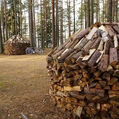 Эко-отель Лес, Выборгский район, Ленинградская область