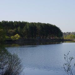 База отдыха Калипсо, Можайский район, Московская область