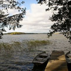 Эко-отель Лес, Выборгский район, Ленинградская область