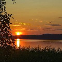 Эко-отель Лес, Выборгский район, Ленинградская область