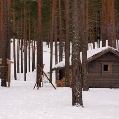 Эко-отель Лес, Выборгский район, Ленинградская область
