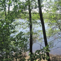 База отдыха Спутник, Меленковский район, Владимирская область