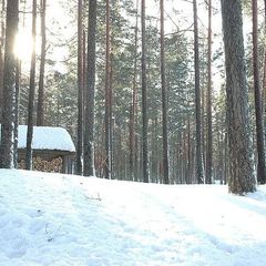 Эко-отель Лес, Выборгский район, Ленинградская область