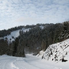 База отдыха Партизанская поляна, Майкопский район, Республика Адыгея