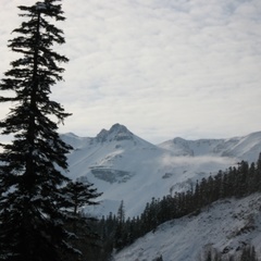 База отдыха Партизанская поляна, Майкопский район, Республика Адыгея