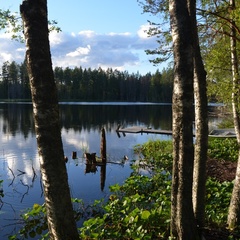 Коттеджный комплекс Ахвенлампи, Лахденпохский район, Республика Карелия